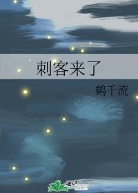 刺客来刺杀鳌拜完整版