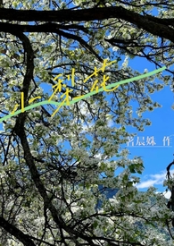 西兰花鳕鱼胡萝卜蒸糕